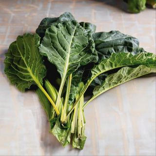 Flash Collards Thumbnail